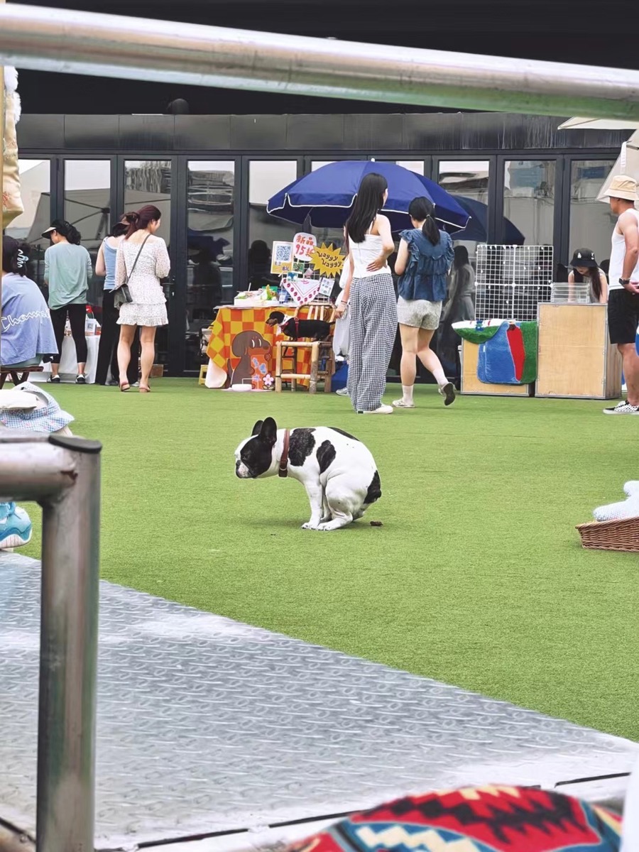 寵物友好型商業(yè)街走紅，拓展消費場景的新趨勢