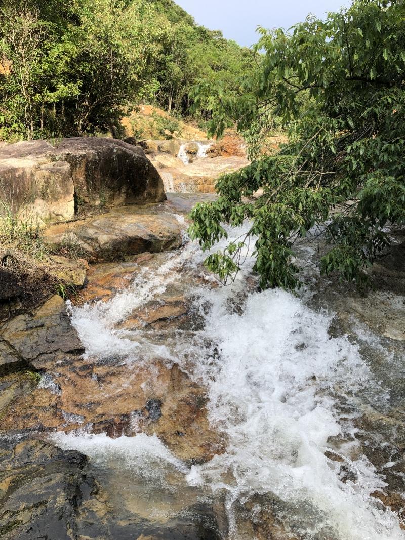 森林療養(yǎng)，健康旅游新模式舒緩壓力備受矚目