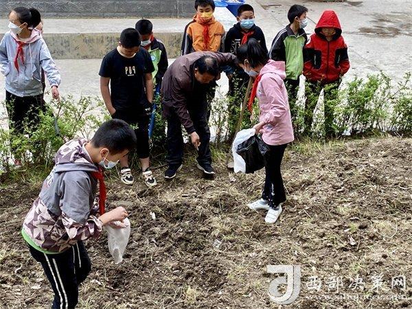 校園農(nóng)田教育項目推動下的學生環(huán)保意識顯著提升