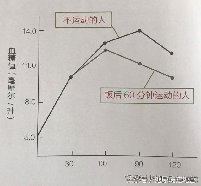 溫和運動與血糖穩(wěn)定的關(guān)聯(lián)研究