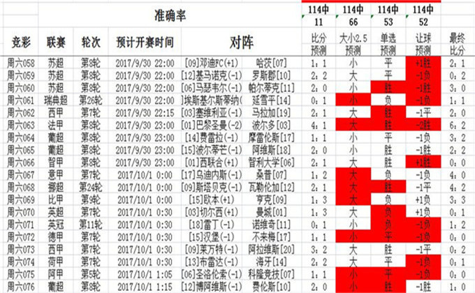 626969澳彩資料2024年,功能性操作方案制定_1080p59.420