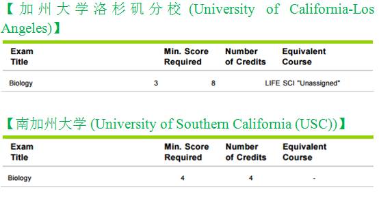 最準一肖100%最準的資料,安全性計劃解析_6DM55.439