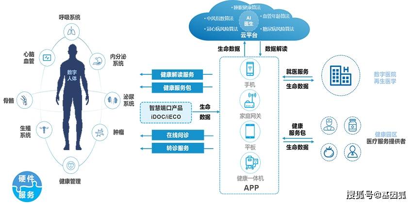 大數(shù)據(jù)如何為公共健康管理提供科學(xué)依據(jù)