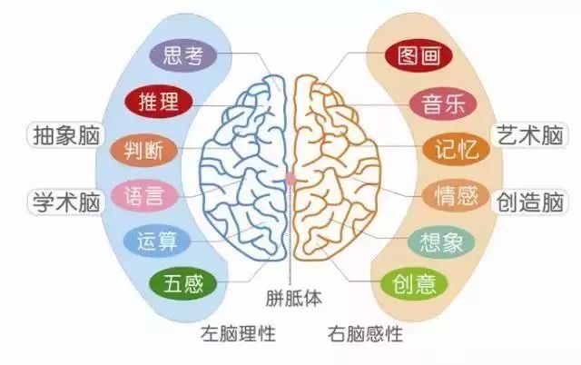 孩子情感共鳴能力的早期培養(yǎng)