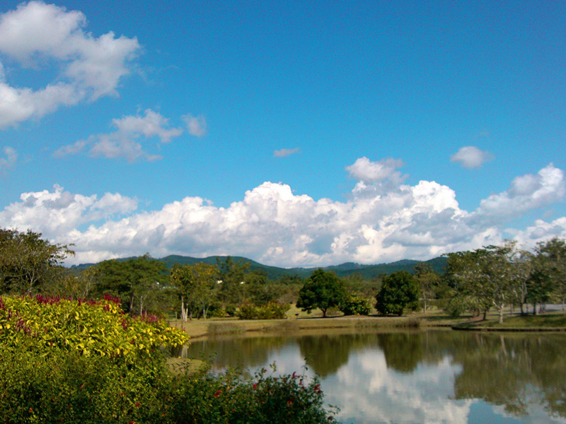 公園池塘映藍(lán)天白雲(yún)美景