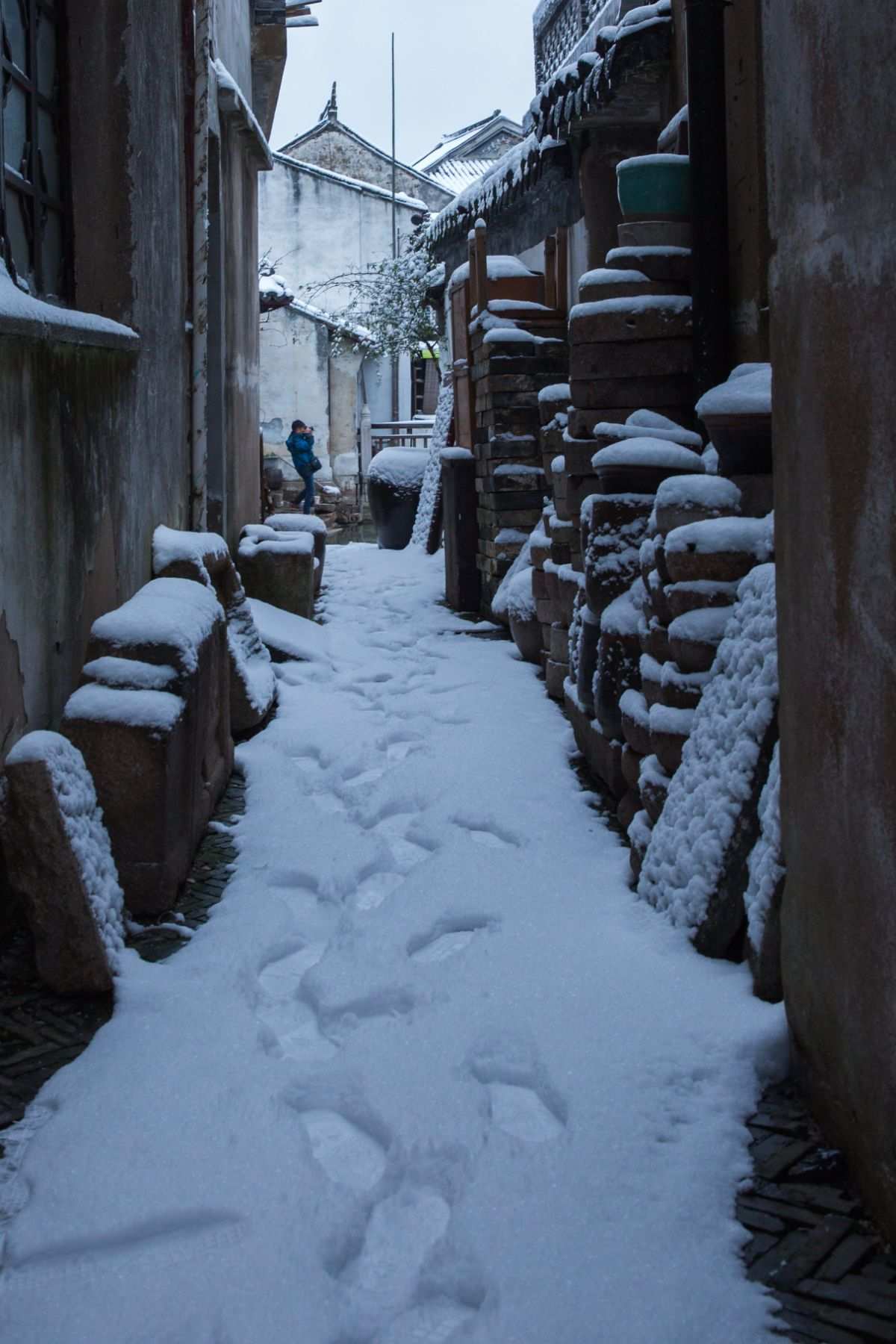 雪花悄然飄落