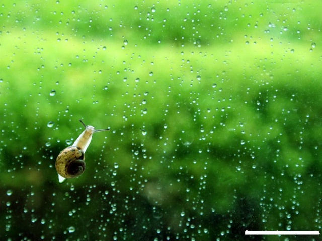 雨后的空氣清新