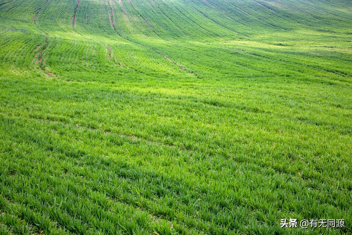 空氣中彌漫著豐收的氣息