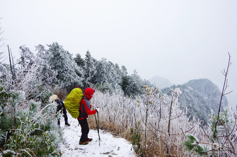 山巔寒風(fēng)中的覺醒與新生之路