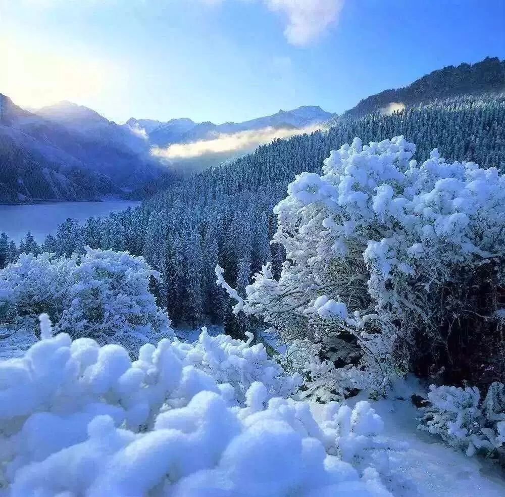 遠山雪輝，陽光下的絢麗畫卷