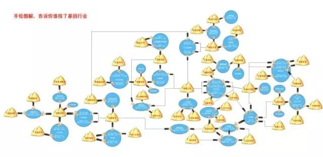 精準醫(yī)療在個性化健康管理中的應(yīng)用及其效果改善