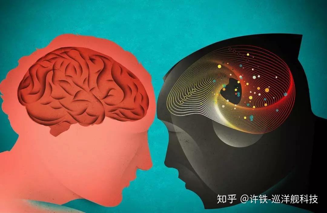 腦科學進展對改善人類認知和記憶的影響研究