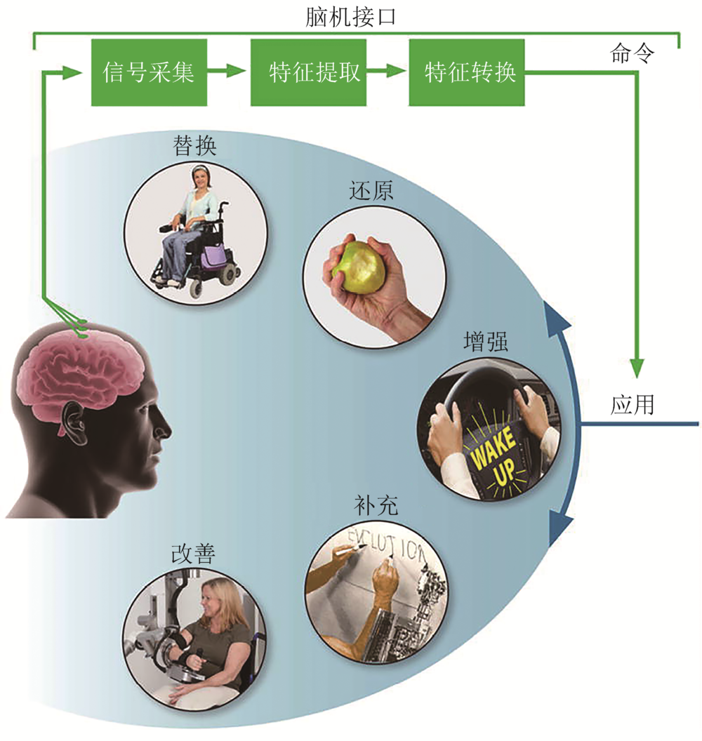 腦機(jī)接口技術(shù)如何打破生理限制