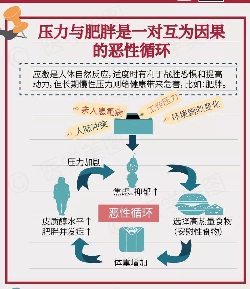 管理情緒與體重控制的緊密關聯(lián)，情緒管理對防止體重增加的重要性