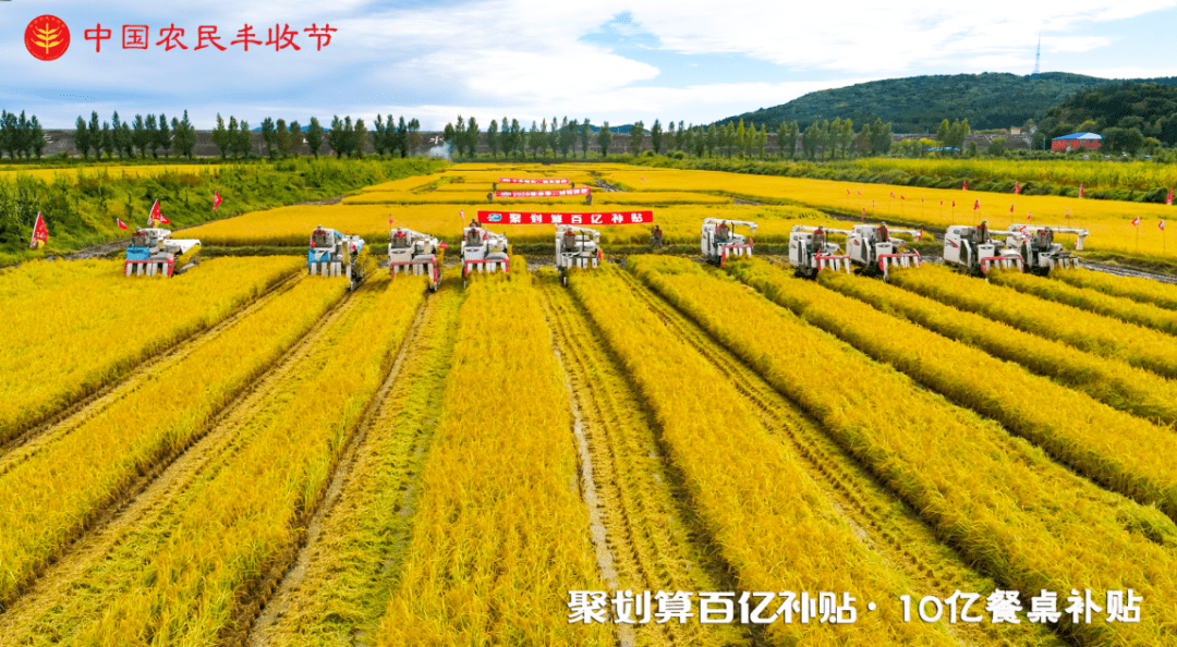 田間到餐桌，食材的生命旅程體驗(yàn)之旅