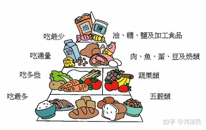 深入了解食物與健康之間的微妙關(guān)系