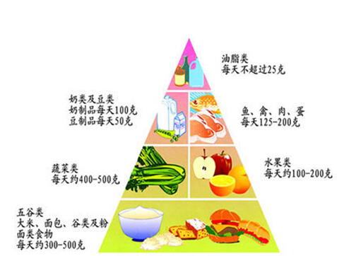 科學(xué)搭配每餐所需。