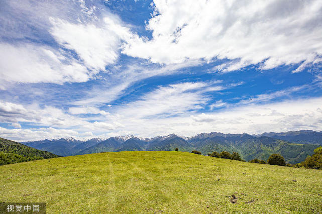 體驗高山草甸中的悠閑午后