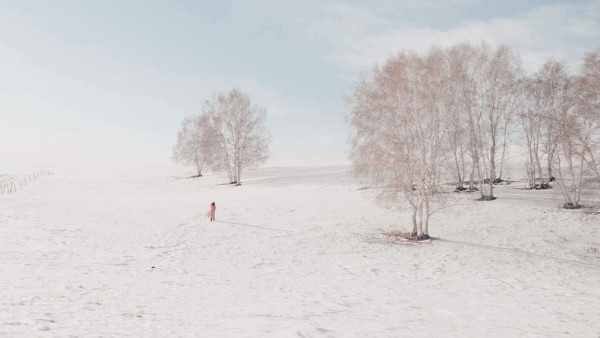 冰雪森林之旅，追尋自然的腳步