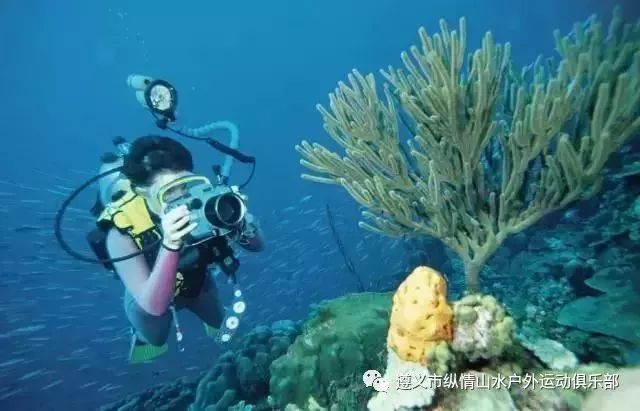 海風吹過的深海氣息