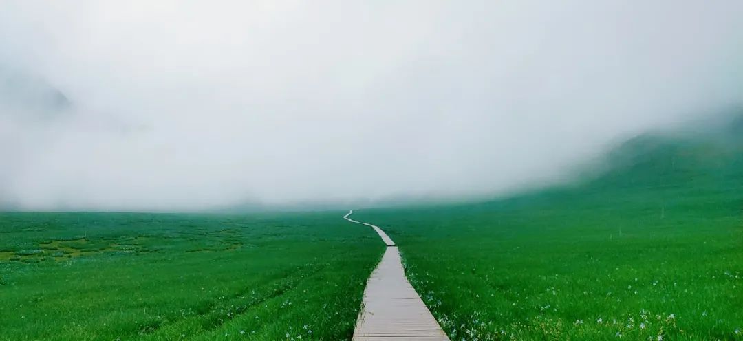 大雨過后