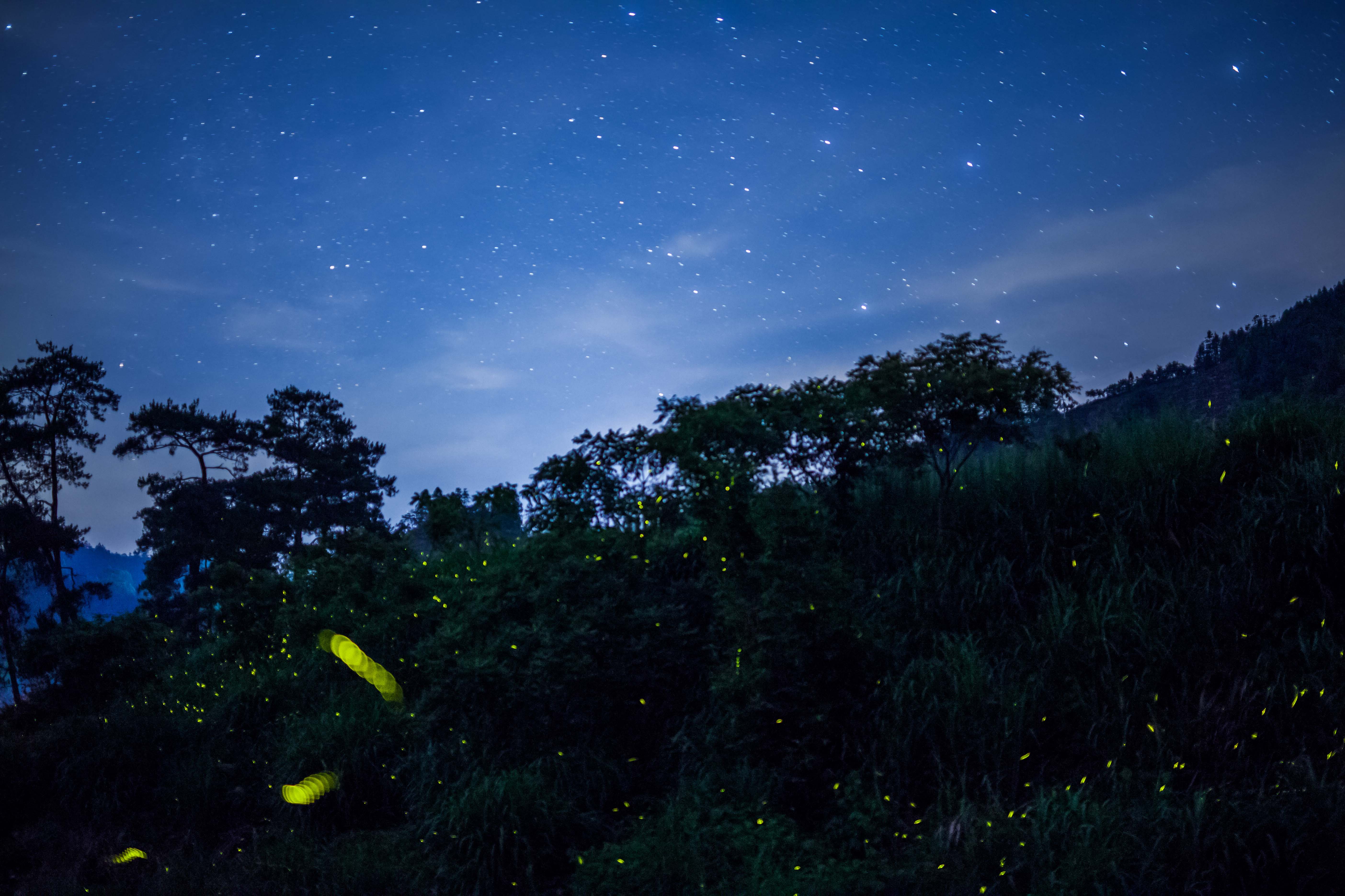 夜晚涼風，遠方山林的靜謐與涼意