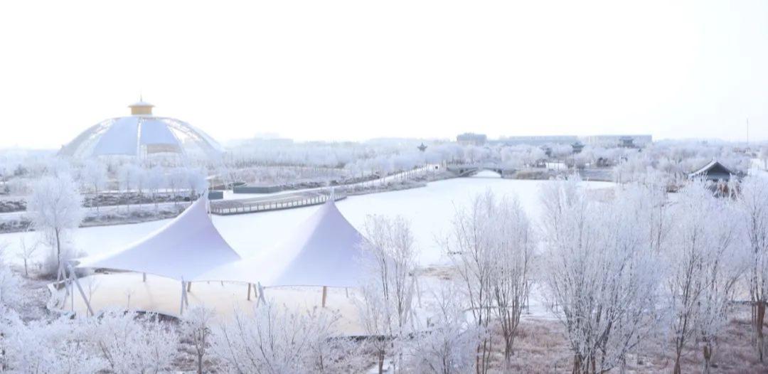 冬日的自然魅力，白雪覆蓋的樹木與枝頭冰晶的魔法