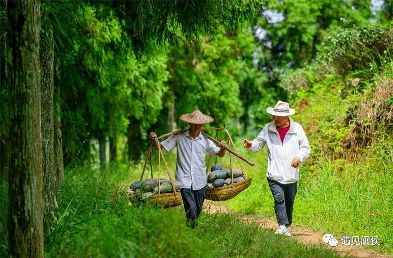 漫步在鄉(xiāng)間的古道上