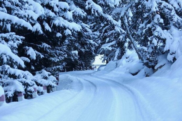 在冰雪覆蓋的世界中