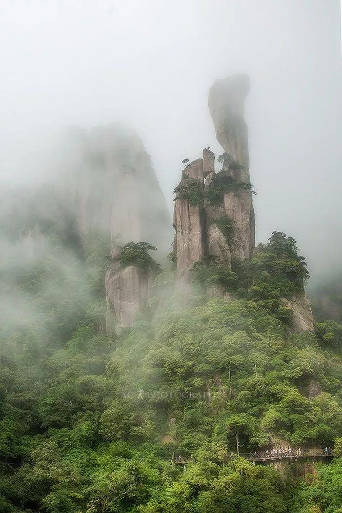 大海的懷抱，無邊遼闊與自由的體驗(yàn)