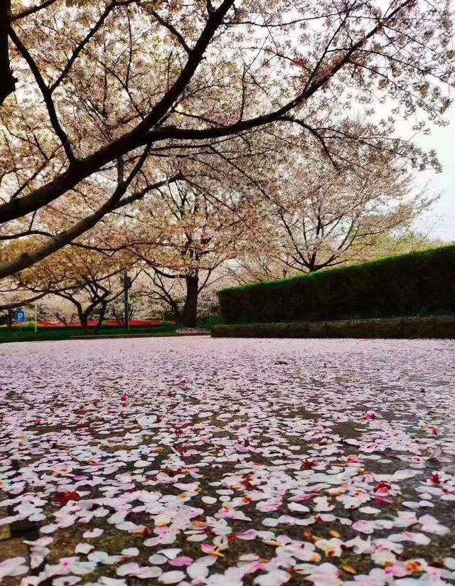 智能建筑如何減少對環(huán)境的負(fù)面影響