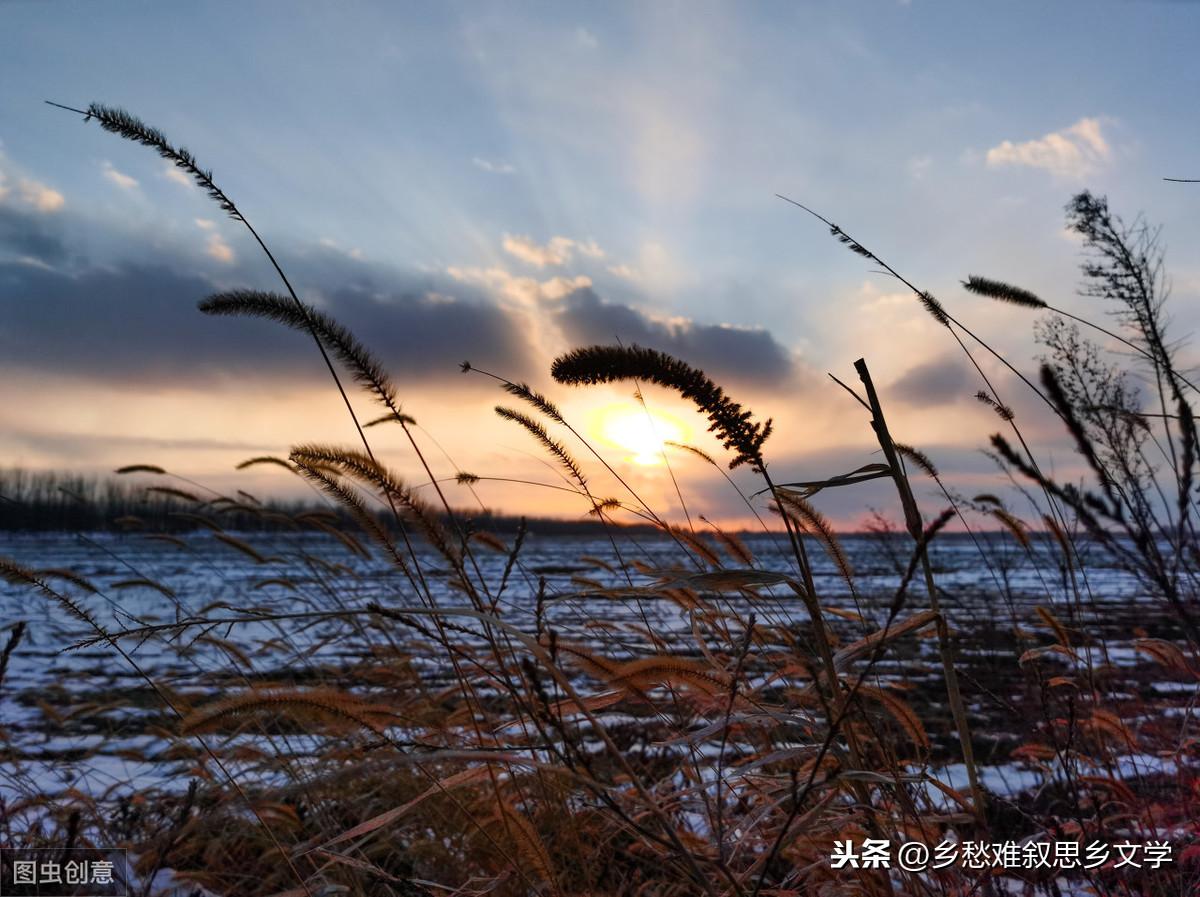 木本植物與濕地生態(tài)恢復(fù)的緊密關(guān)聯(lián)，相互依存關(guān)系探討