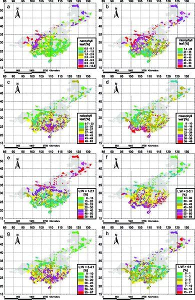 木本植物對(duì)氣候調(diào)節(jié)的貢獻(xiàn)與全球合作