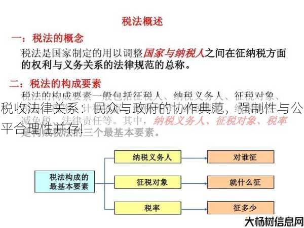 稅收制度的公平性與社會(huì)責(zé)任