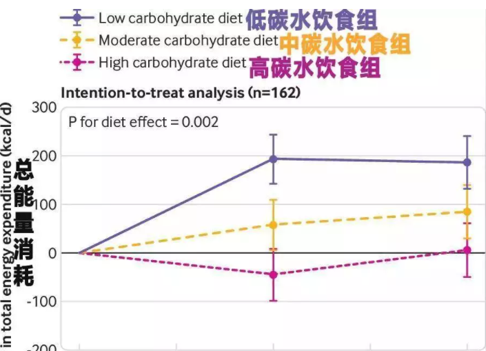 食物搭配對代謝加速的影響