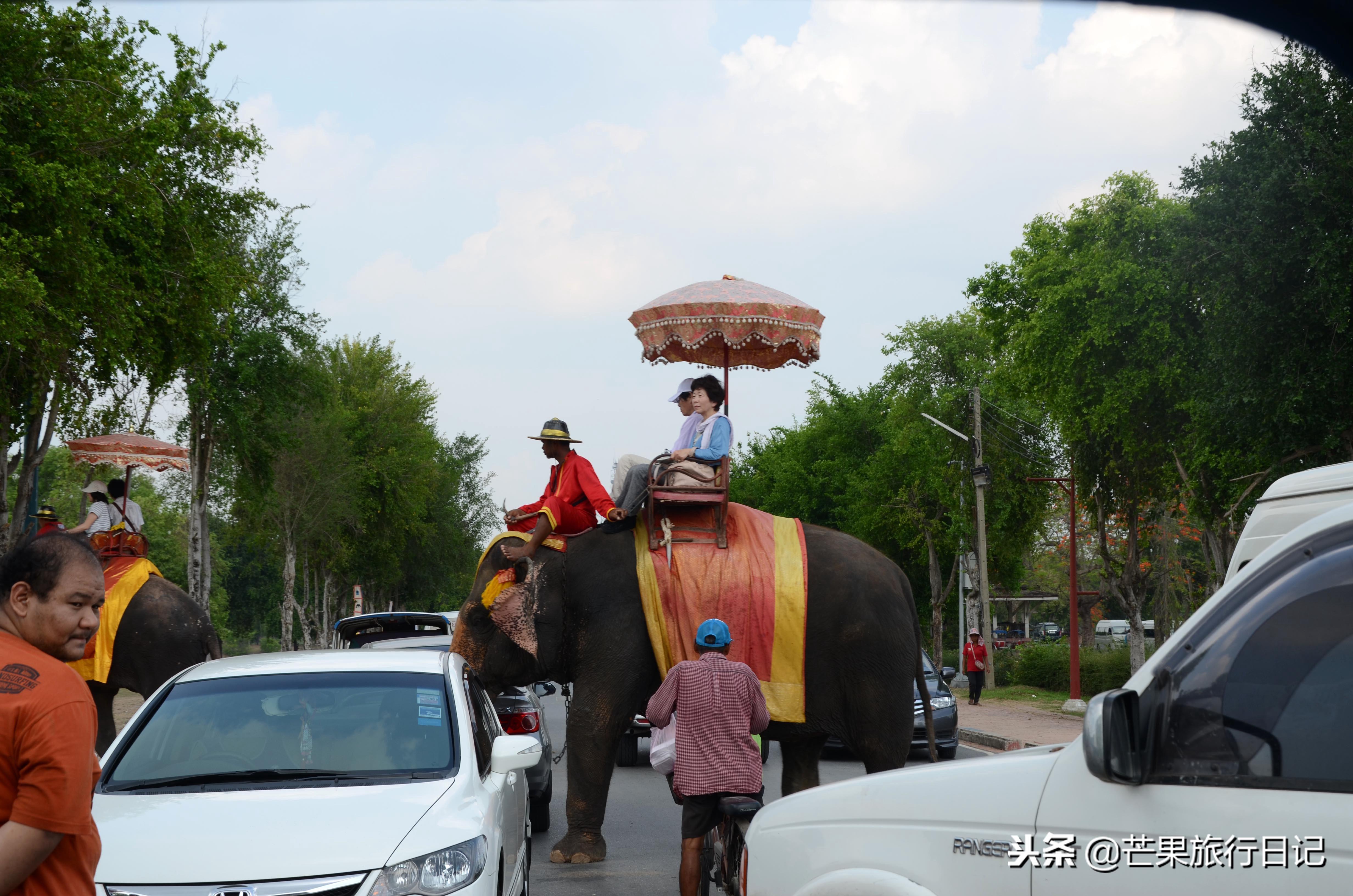 體驗當?shù)仫L情