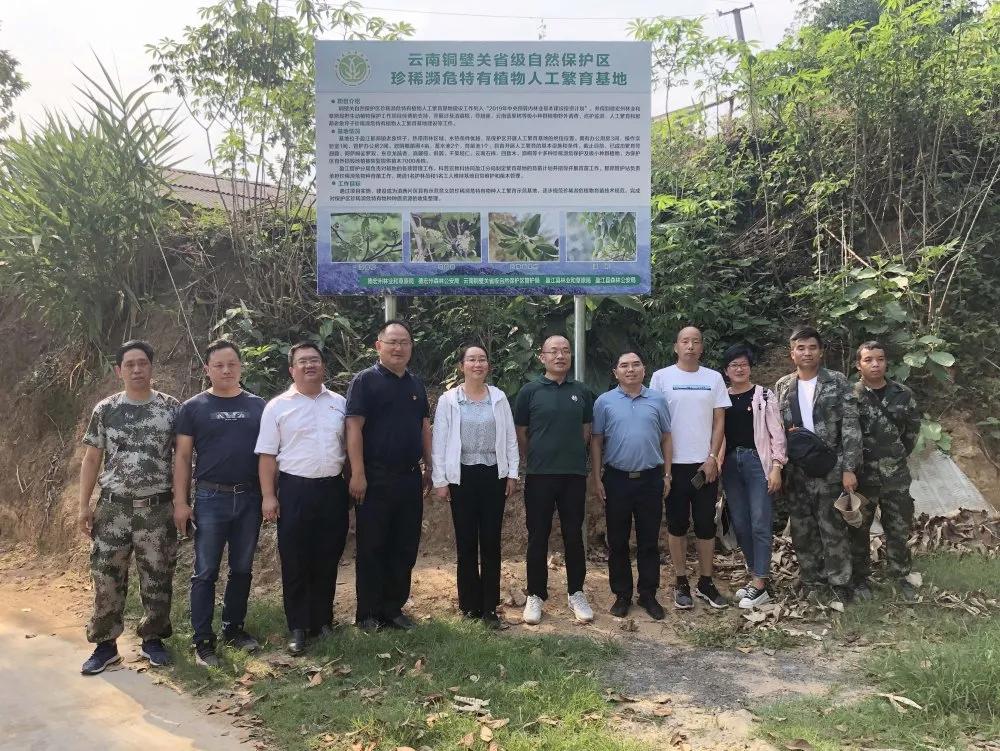 探訪全球最古老植物園，自然奇跡之旅揭秘