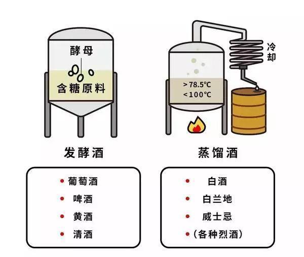 探索通過發(fā)酵提升食物風(fēng)味的技巧與原理。