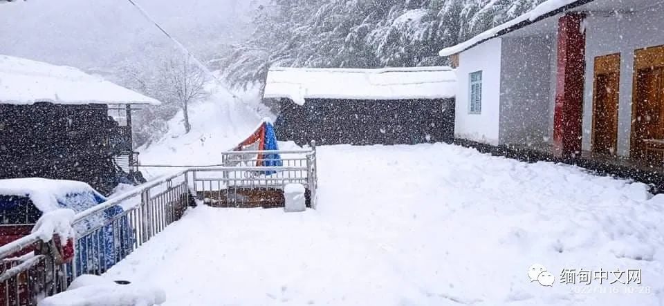 雪后公園足跡印記，探尋冬日自然之美