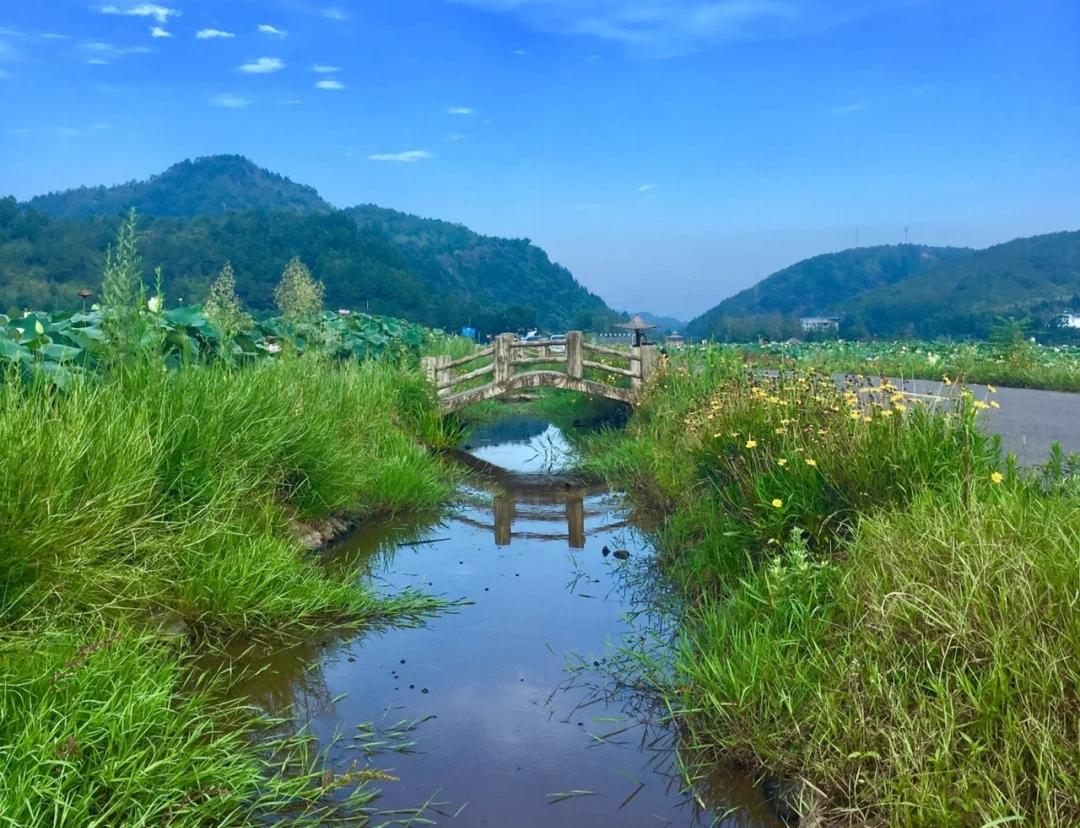 湖畔晨霧，如夢(mèng)如幻的秘境