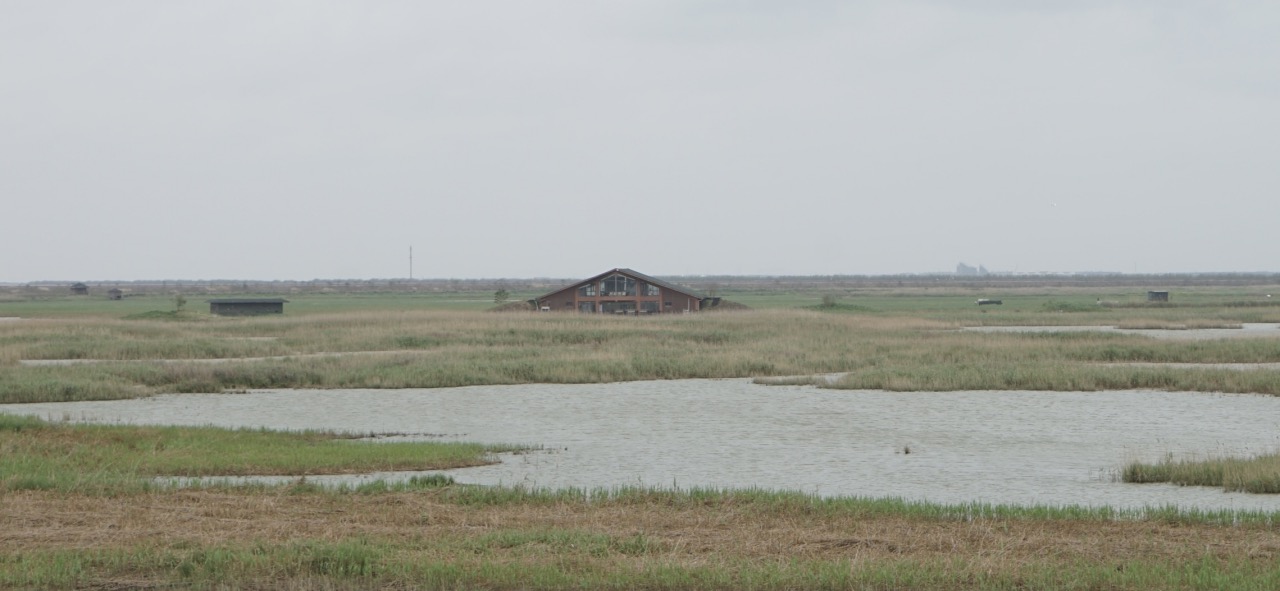 陽(yáng)光透過(guò)薄霧灑在大地上