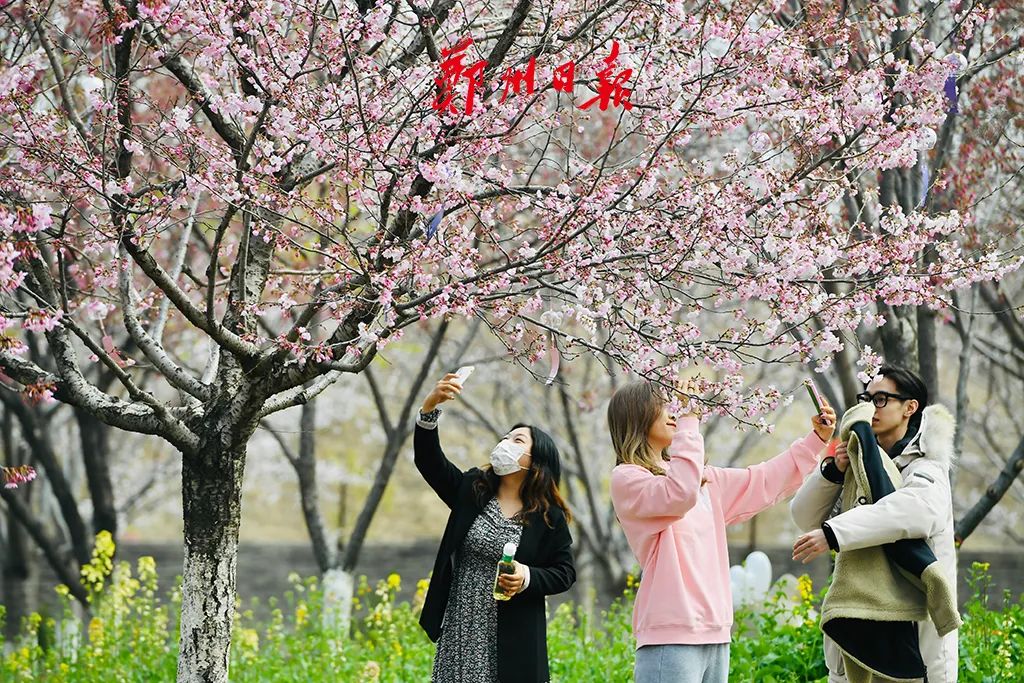 春雨后，世界如畫，清新花香沁人心脾