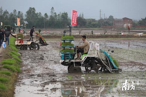 無人機(jī)在農(nóng)業(yè)中的精準(zhǔn)播種與灌溉應(yīng)用