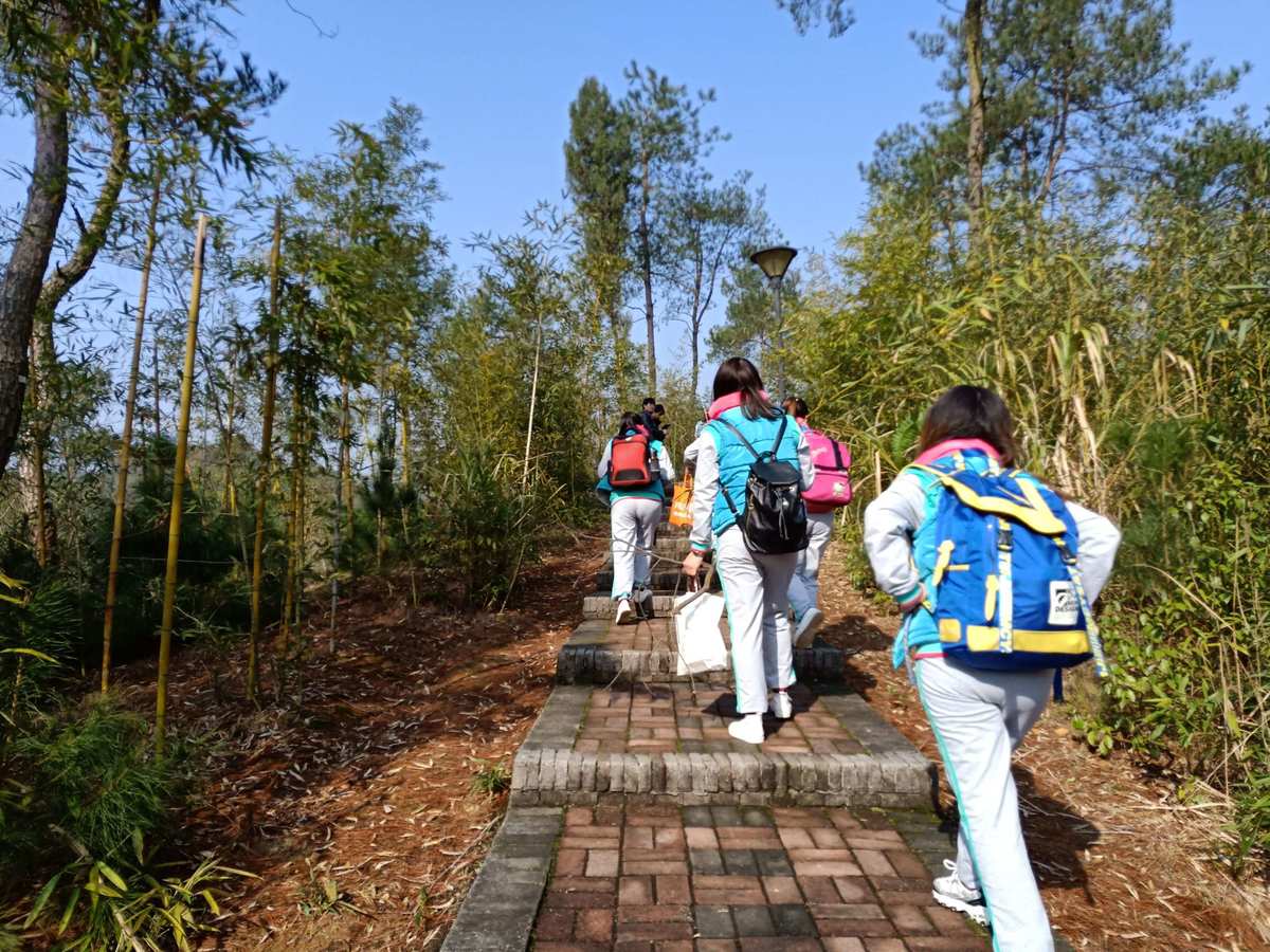 遠足與旅行，提升孩子認知能力的鍛煉之旅