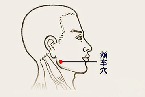 溫和運(yùn)動(dòng)與減輕肌肉酸痛的效果