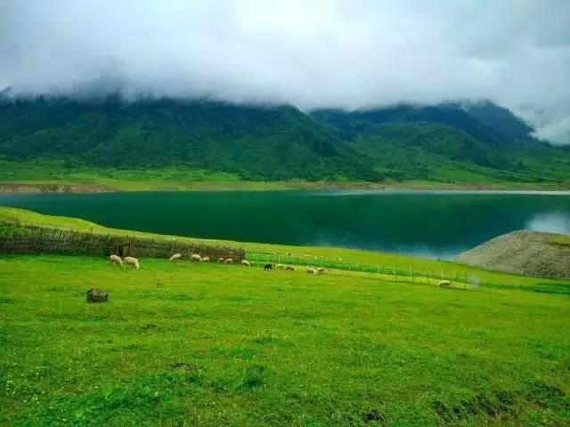 在高山湖泊旁野營(yíng)