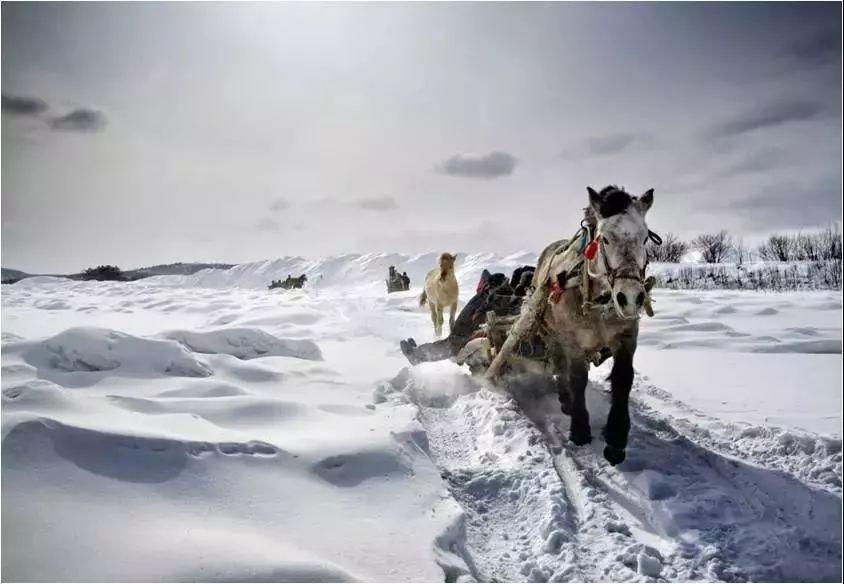 穿越極地冰雪