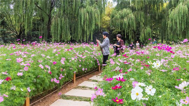 世界頂級植物園之旅，花卉與自然的絕美交融