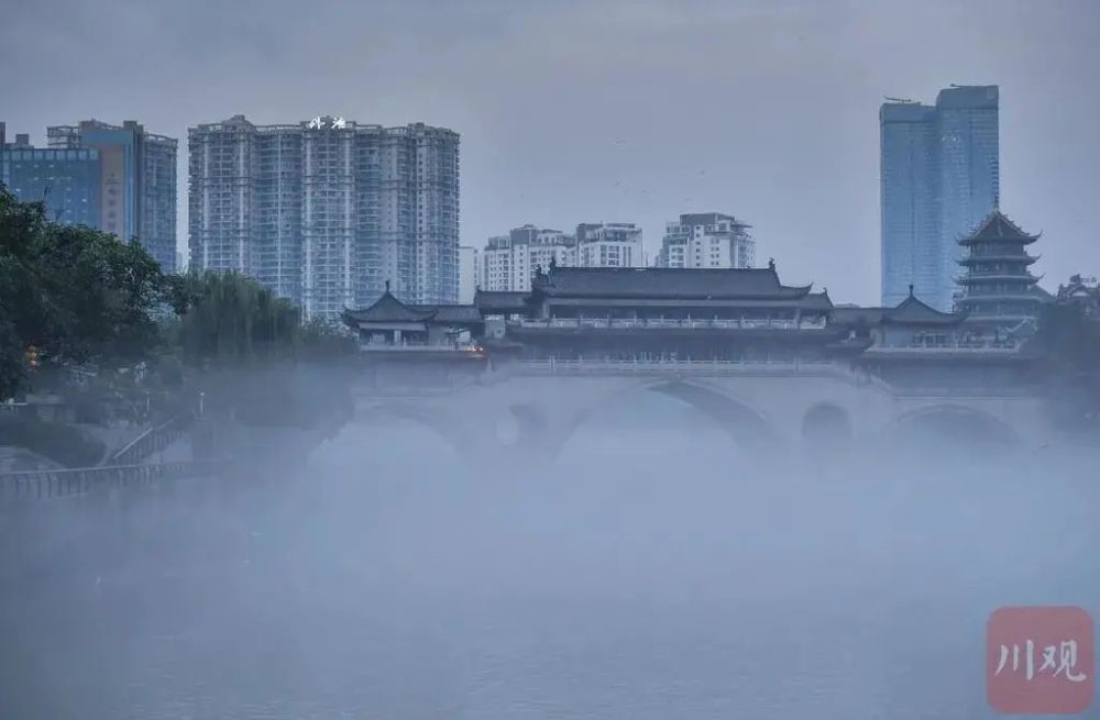 晨曦薄霧中的森林仙境之旅