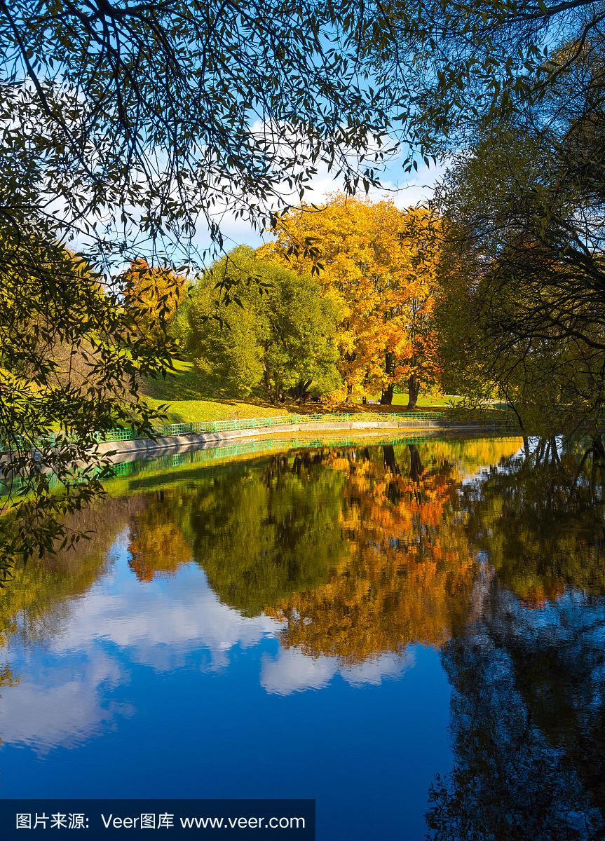 秋日公園，樹木倒影與詩(shī)意畫卷的交相輝映